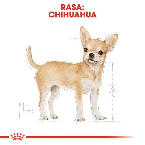 ROYAL CANIN 法國皇家狗乾糧 - 芝娃娃成犬專屬配方 / BHN CHIHUAHUA ADULT FOR DOG 1.5KG,3KG