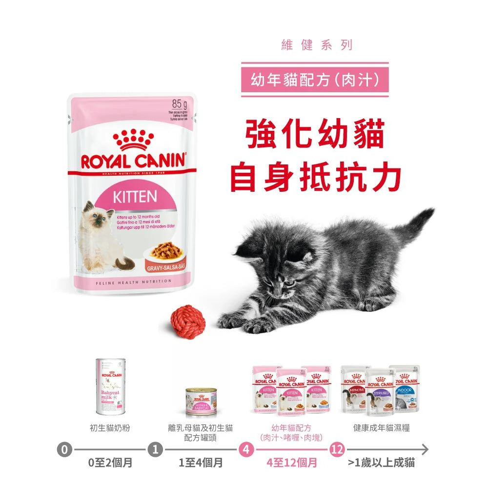 ROYAL CANIN 法國皇家 幼貓濕糧 - 幼貓 (啫喱) / CAT KITTEN WET (JELLY) 85G