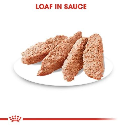 ROYAL CANIN 法國皇家狗濕糧 - 成犬消化道加護主食濕糧 (肉塊) DIGESTIVE CARE (LOAF) 85G