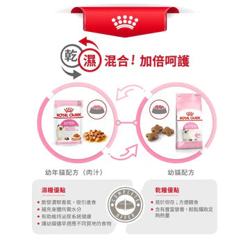 ROYAL CANIN 法國皇家 幼貓濕糧 - 幼貓 (啫喱) / CAT KITTEN WET (JELLY) 85G