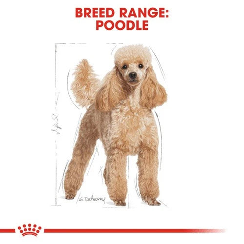 ROYAL CANIN 法國皇家狗濕糧 - 貴婦狗成犬專屬配方 每包(肉塊)  85G/ BHN POODLE ADULT DOG(LOAF) 85G