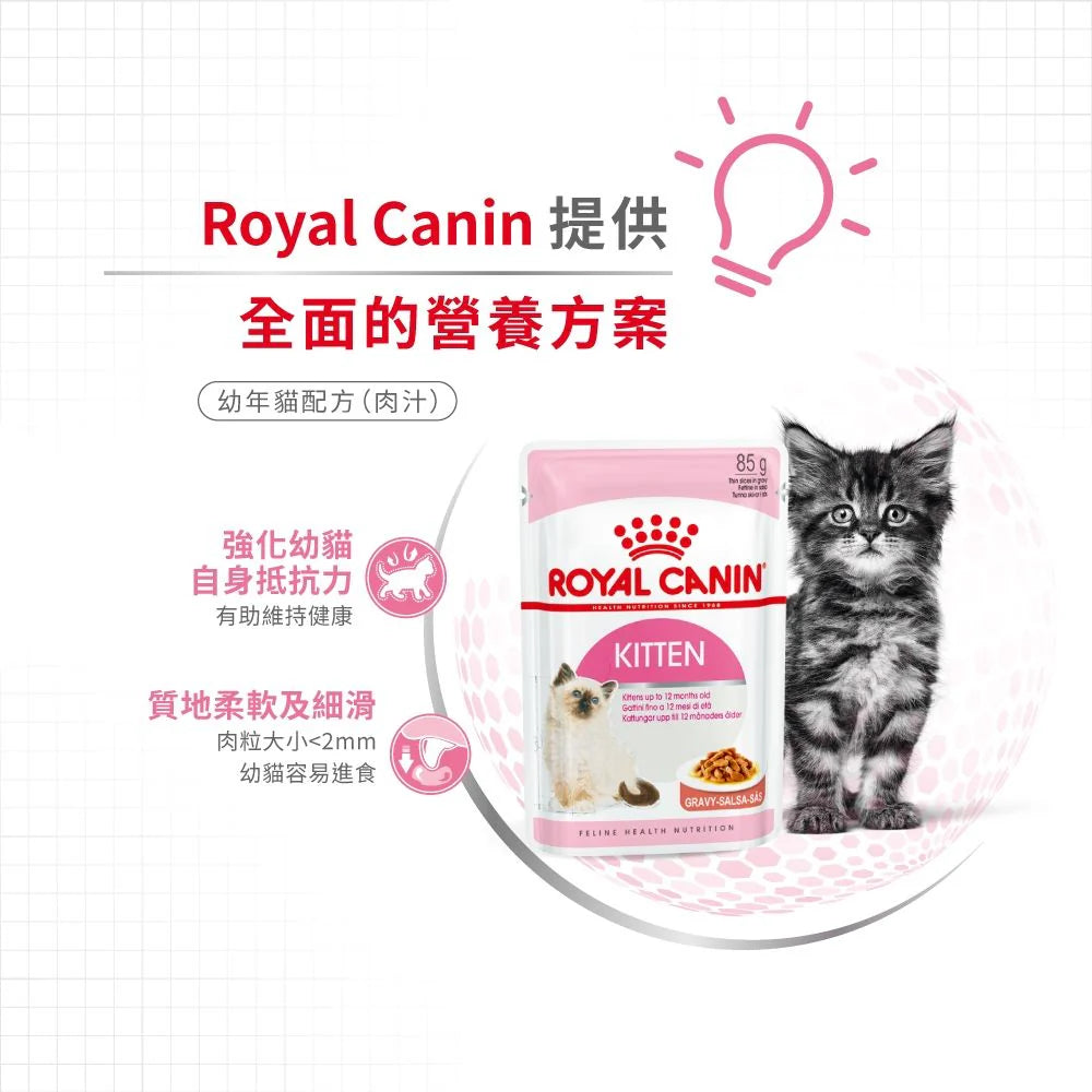 ROYAL CANIN 法國皇家 幼貓濕糧 - 幼貓 (啫喱) / CAT KITTEN WET (JELLY) 85G