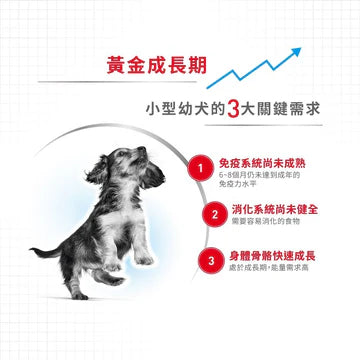 ROYAL CANIN 法國皇家幼犬乾糧 - 室內小型幼犬營養配方 DOG MINI INDOOR PUPPY DRY 3KG