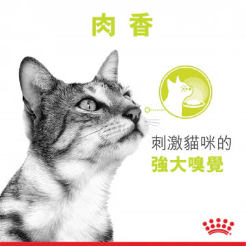 ROYAL CANIN 法國皇家 -貓感濕糧肉香營養主食系列 (肉汁) 每包85G / FHN SENSORY SMELL MORSELS IN GRAVY 貓感濕糧肉香營養主食系列 (肉汁) 85G