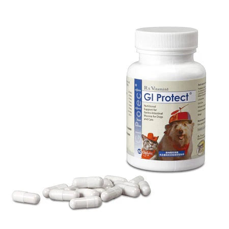 VETDICATE 寵特寶 固腸 GI PROTECT - 1樽60粒膠囊