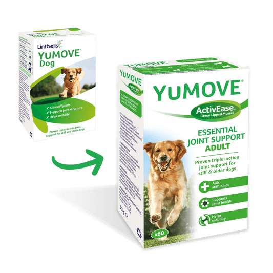 Lintbells YuMOVE靈犬關節寶 300粒 (007005)