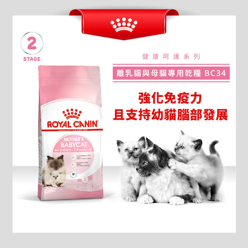 ROYAL CANIN - MOTHER & BABYCAT FOOD 2KG,4KG,10KG