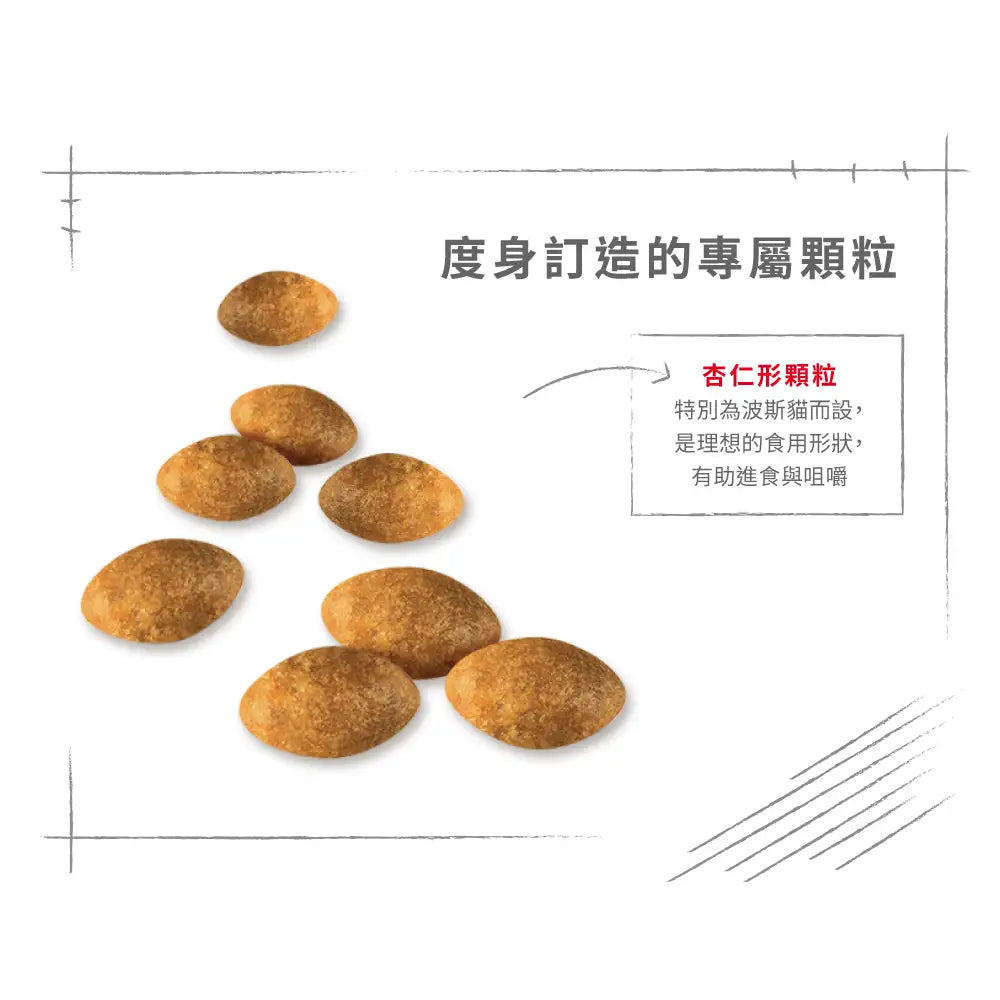 ROYAL CANIN 法國皇家－波斯成貓專屬配方 /FBN PERSIAN ADULT 2KG,4KG,10KG